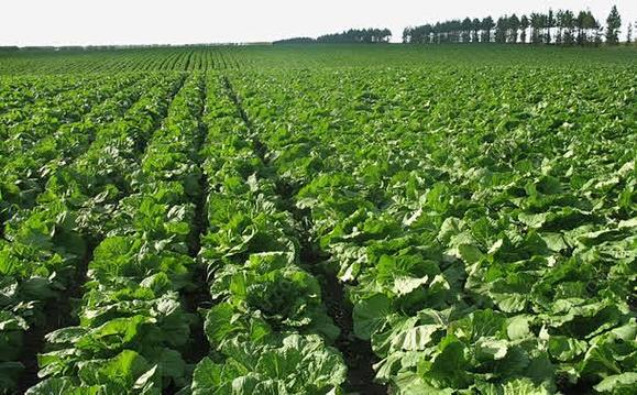 ABUIABAEGAAguYqWswYohNPn4wMwpgY4vwM